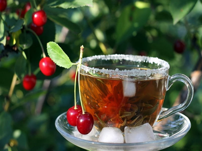 GARDEN TEA, fruit, still life, tree, cherries, ice, cup, tea, HD wallpaper
