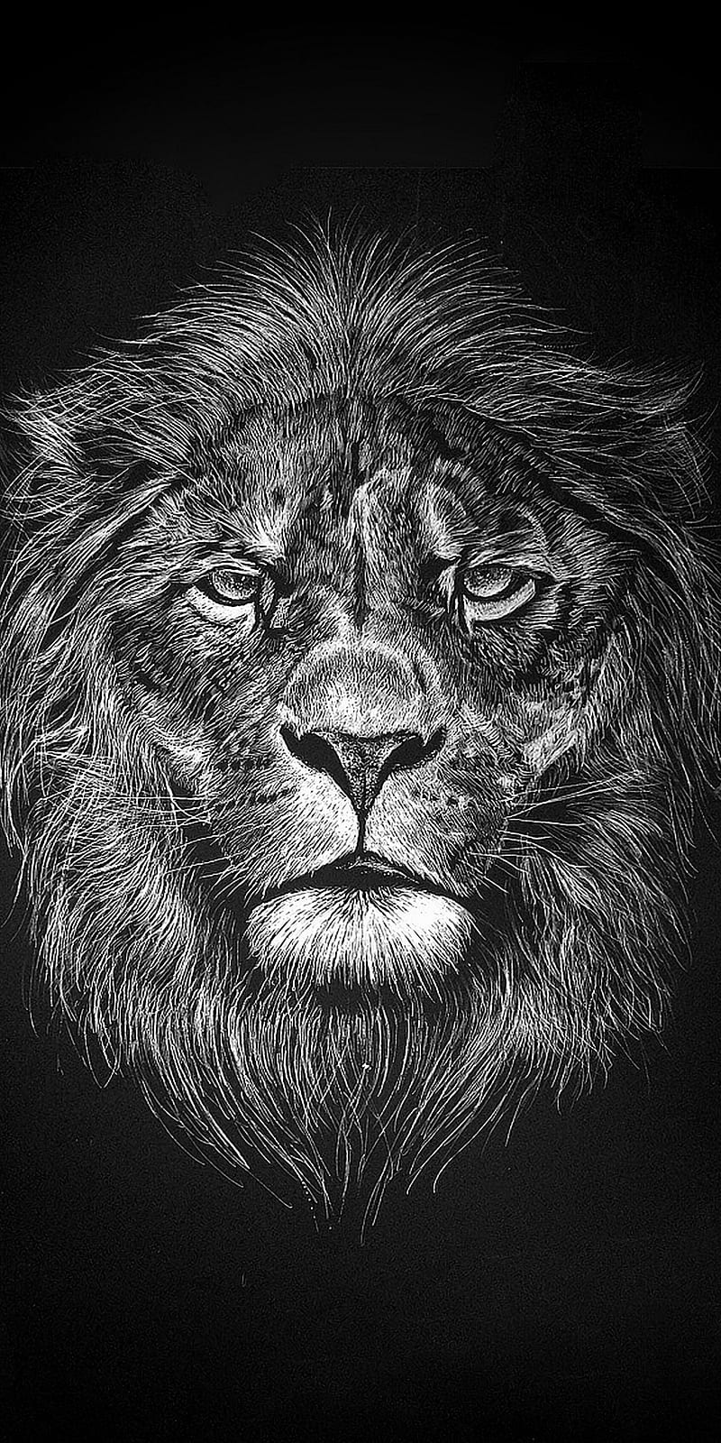 Intense Lion, black, dark, fullscreen, good , king, lockscreen, silver, HD phone wallpaper