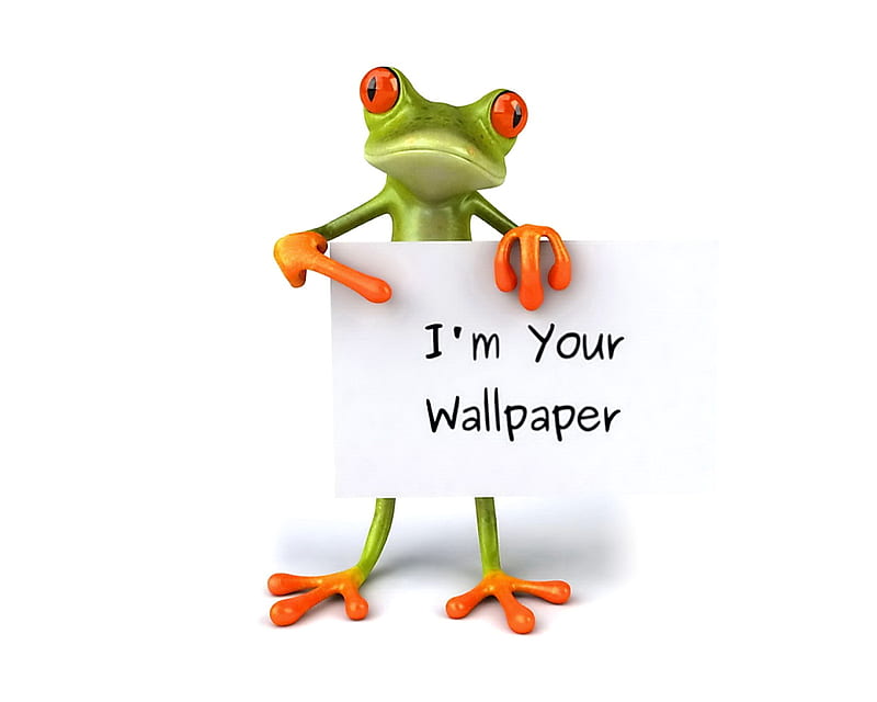 Frog , funny, HD wallpaper