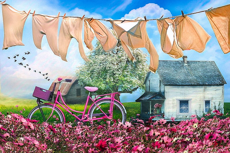 Laundry Day, clothes, tree, cottage, birds, bicycle, flowers, barn, clothes line, HD wallpaper