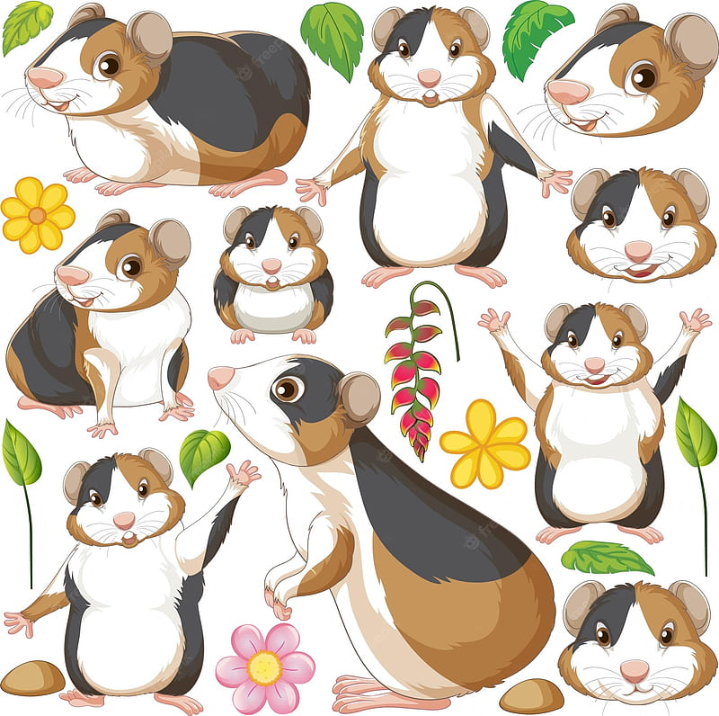 Hamster . Vectors, Stock & PSD, Cute Cartoon Hamster, HD wallpaper