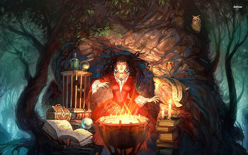 witch brewing up some poison, book, witch, cage, poison, HD wallpaper