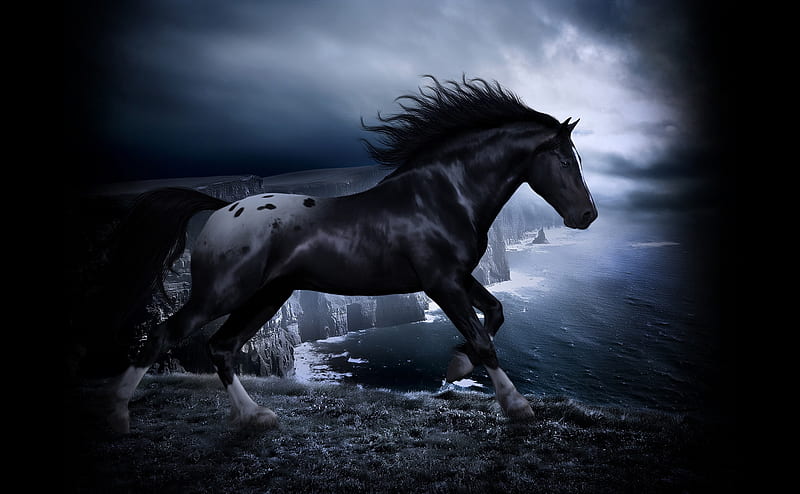 Horse at night, horse, run, abstract, animal, HD wallpaper