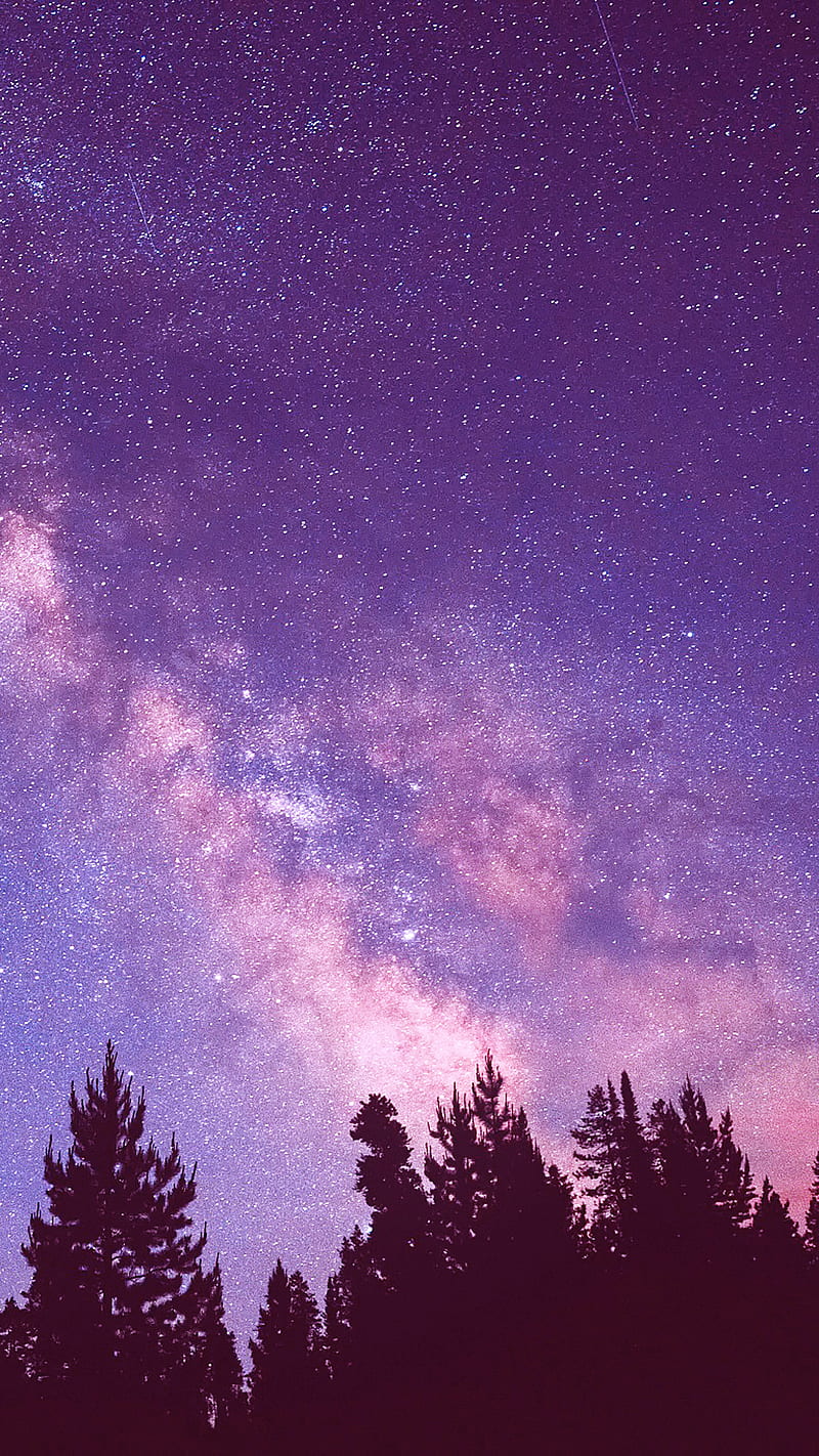 Purple, forest, galaxy, sky, space, HD phone wallpaper