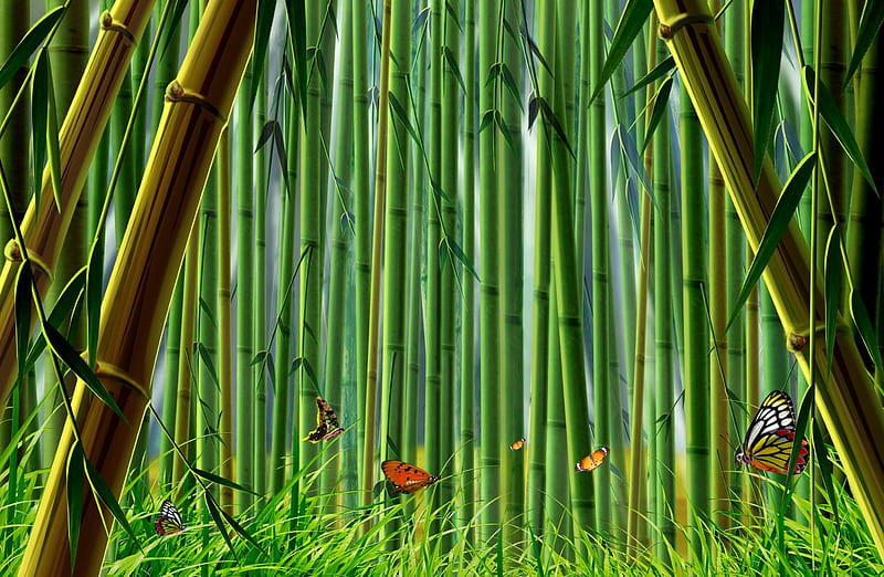 deep in the woods..., forest, butterflies, deep, bamboo, HD wallpaper