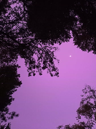 HD tumblr purple wallpapers | Peakpx