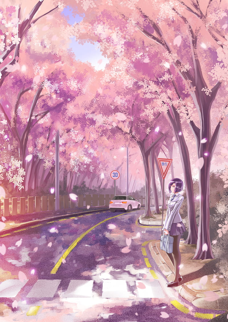 girl, road, transition, sakura, live, anime, art, HD phone wallpaper