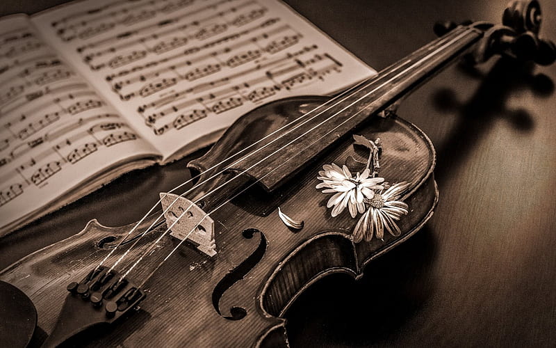 old violin, musical instrument, music, wooden violin, HD wallpaper