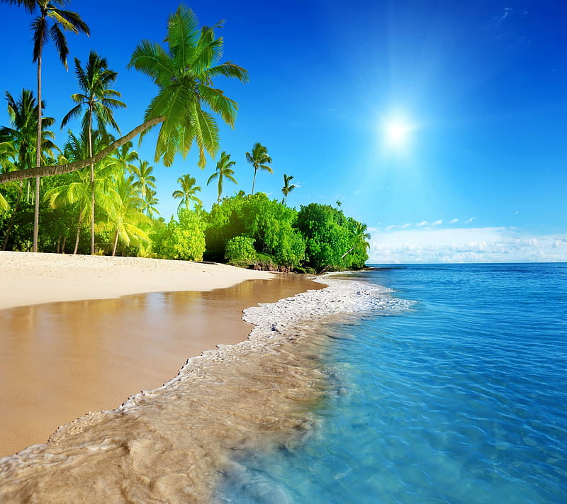 Tropical Paradise, HD wallpaper