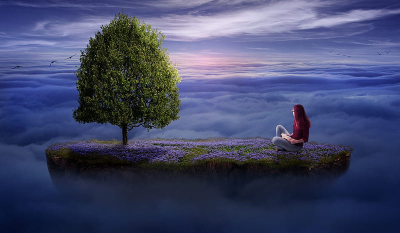 An Adventure to the Unknown, female, grass, redhead, book, birds, sky, woman, clouds, tree, girl, flowers, lady, HD wallpaper