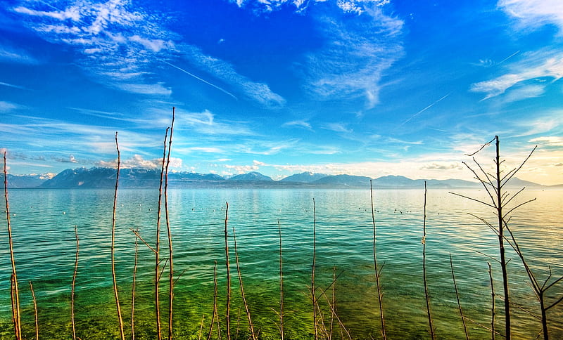 Khám phá hồ Geneva, Thụy Sĩ với độ phân giải cao nhất và nền cam ấm áp màu sắc, tất cả sẽ mang đến cho bạn sự yên bình và tận hưởng đẹp nhất của thiên nhiên. Cùng khám phá một trong những điểm đến đầy tuyệt vời nhất.