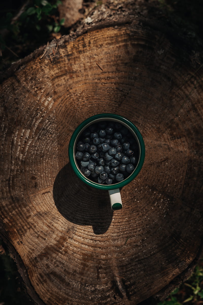 blueberries, berries, mug, stump, HD phone wallpaper