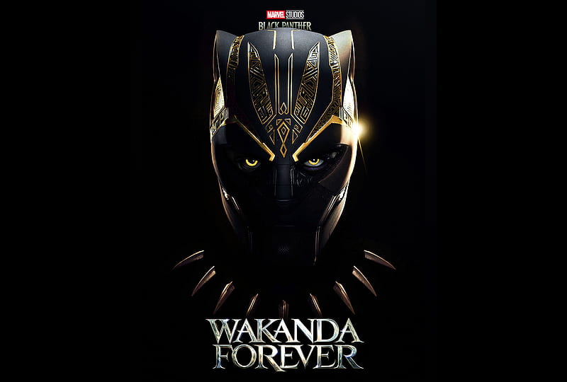 Black Panther: Wakanda Forever Fan Art Poster, HD wallpaper
