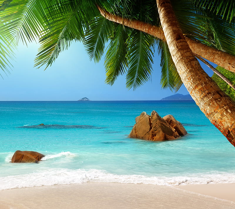 Tropical Beach, palms, paradise, sand, sea, stone, HD wallpaper | Peakpx