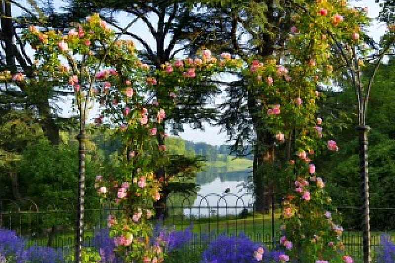 Blenheim palace, rose arch, pretty, view, bonito, spring, park, roses, palace, lake, arch, summer, garden, HD wallpaper