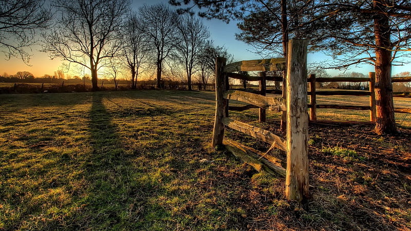 a wooden fence in a field at sunrise r, fence, shadows, r, sunrise, trees, field, wood, HD wallpaper