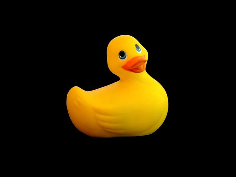 quack-quack, sensual, stunning, yellow, adorable, nice, love, art, lovely, birds, toy, black, collage, sexy, abstract, cute, water, cool, awesome, eyes, red, bonito, elegant, animal, graphy, duck, hot, animals, amazing, romantic, smile, alone, bird, funny, HD wallpaper