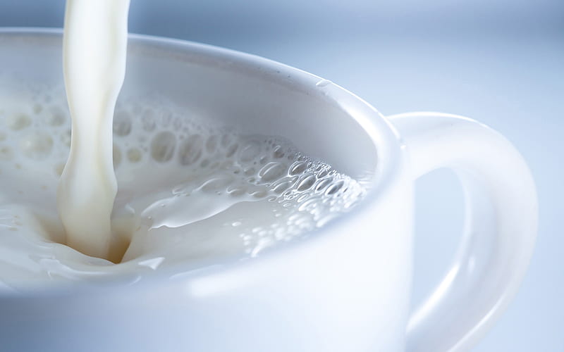 cup of milk macro, white cup, drinks, milk, close-up, cup with milk, HD wallpaper