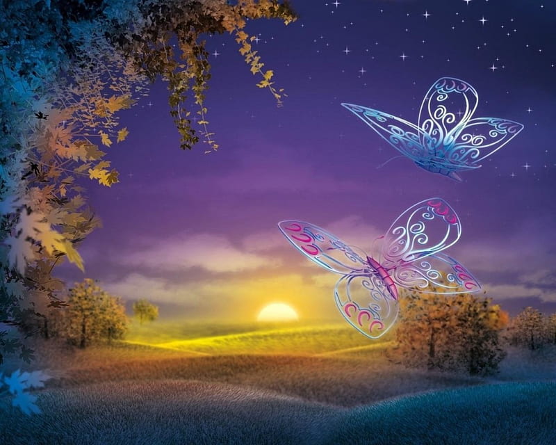 Fantastic dreams, fantasy, sunrise, sky, butterfly, HD wallpaper