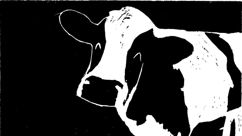Cow Print 2 Cow Print, HD wallpaper