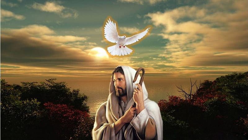 White Pigeon Flying On Top Of Jesus In White Clouds Blue Sky Background Jesus, HD wallpaper