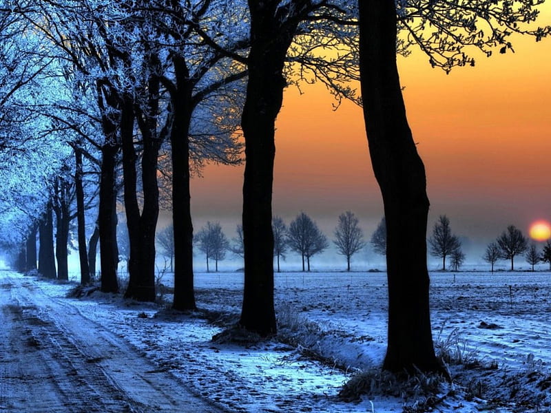 SUNSET LANE, lanes, roads, snow, sunsets, fields, trees, winter, HD wallpaper