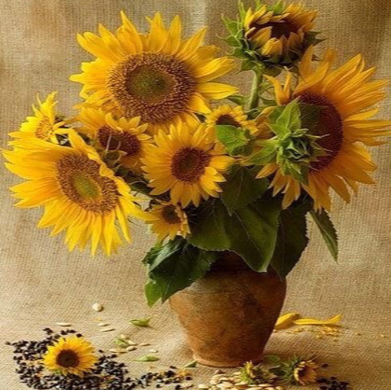 Still life, sunflowers, flowers, vase, yellow, HD wallpaper | Peakpx