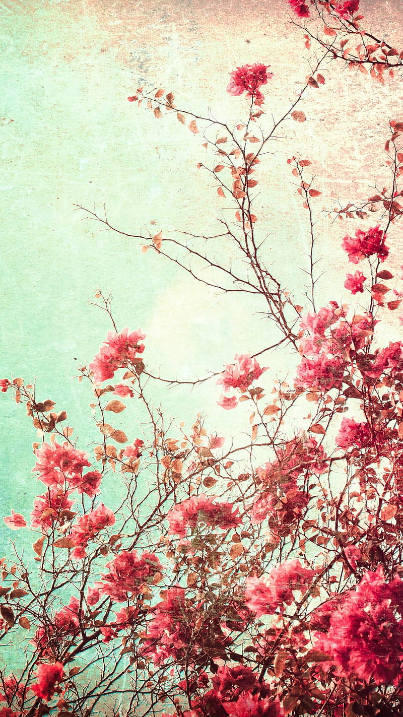Flowers, pattern, vintage, HD phone wallpaper