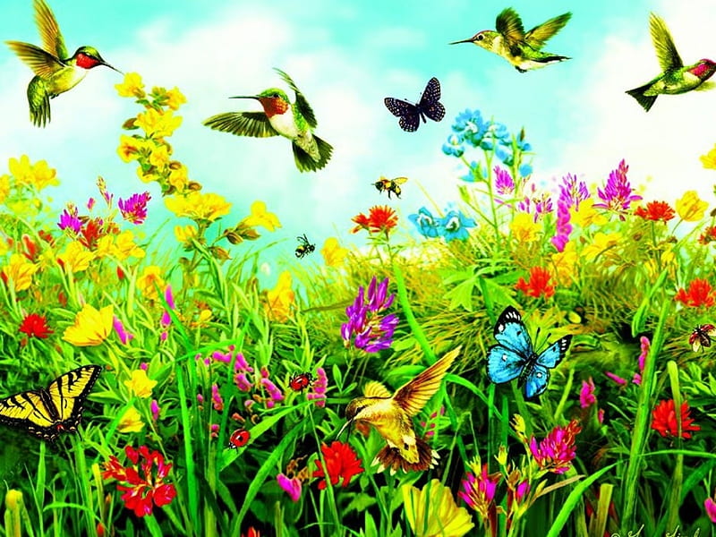 Hummingbirds and Butterflies, hummingbirds, flowers, scent, butterflies, sweet, HD wallpaper