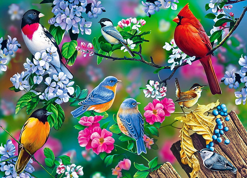Songbirds, joy, colorful, art, spring, fun, bonito, tree, gathering, flowers, blossoms, garden, friends, HD wallpaper