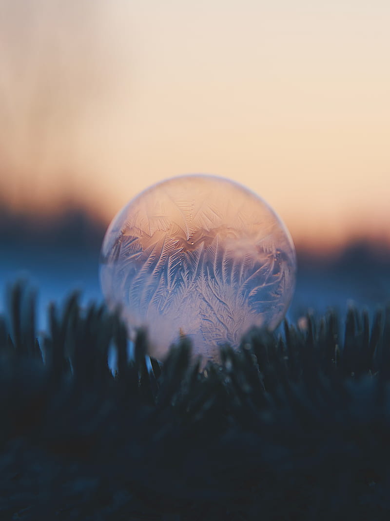 frozen bubble, macro, frost, ice, Nature, HD phone wallpaper