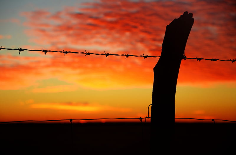 barbed wire, sunset, horizon, HD wallpaper