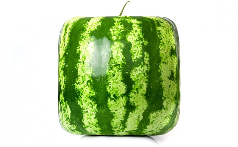 Watermelon, food, cube, sweet, dessert, fruit, green, summer, funny, white, HD wallpaper