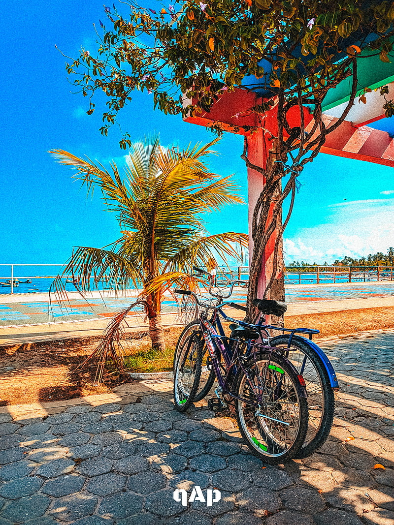 Praia de suape, bike, sea, oceano, porto, surfar, tropical, viagem, viajem, view, HD phone wallpaper