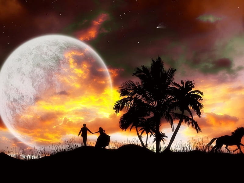 Romance at Night, palm, trees, horse, silhouette, clouds, beach, moon ...