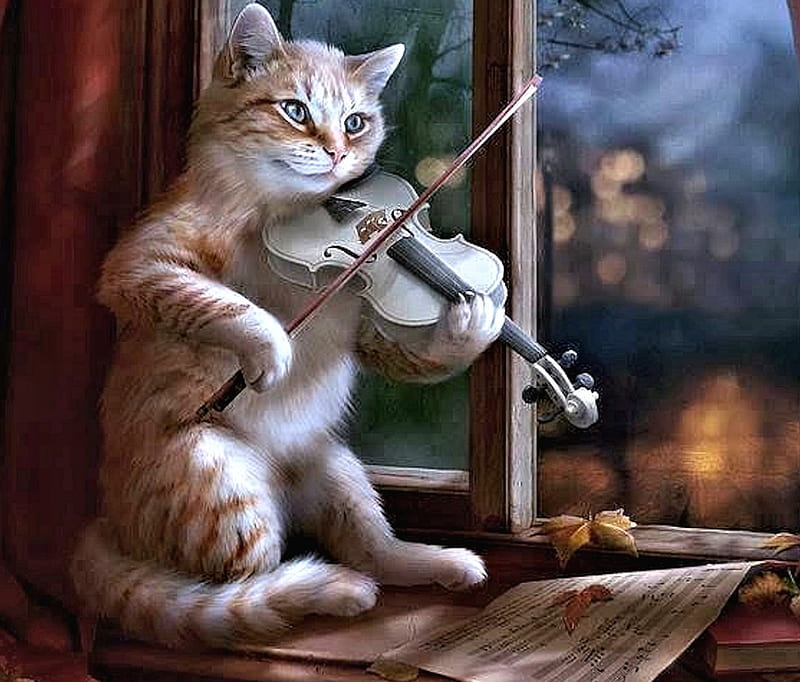 Cat Musician, Cute, Musician, Violin, Cat, HD wallpaper