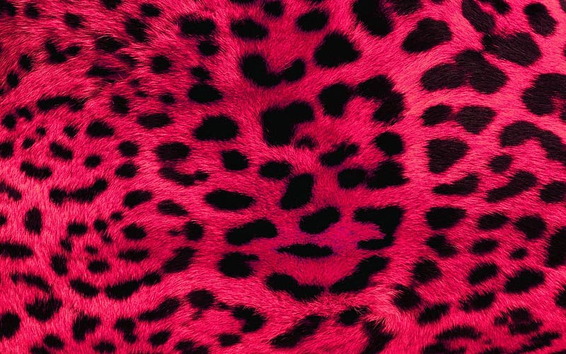 Leopard Print Pink, Purple Leopard Print, HD wallpaper