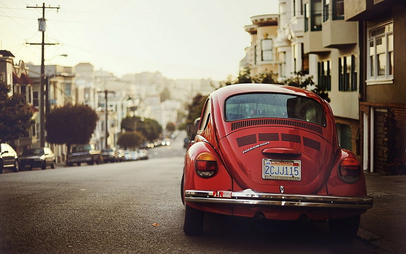 VW Beetle, VW, classic, Beetle, car, HD wallpaper