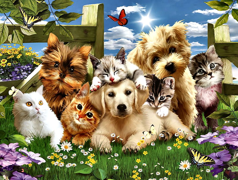 Puppies and Kittens F2Cmp, art, kittens, bonito, butterflies, cat, artwork, canine, animal, pet, feline, puppies, painting, wide screen, dog, HD wallpaper