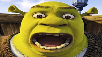 Shrek Meme Funny Wallpaper 74150 1920x1080px