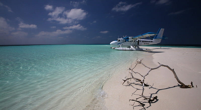 Maldivian Air Taxi, maldives, beach, plane, sand, water, sea, HD wallpaper