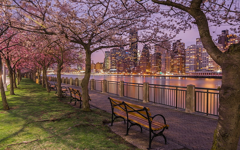 new york city, bench, skyscrapers, night, scenic, trees, river, City, HD wallpaper