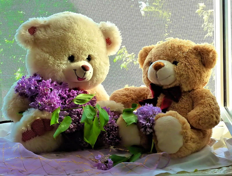 Cute teddy bears with lilac, lilac, pretty, house, bonito, adorable, fragrance, sweet, nice, room, friends, cozy, lovely, window, scent, gift, cute, flower, teddy bear, HD wallpaper