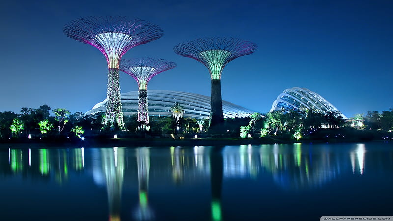 Gardens by the Bay, Singapore, Singapore, Gardens, Architecture, Bay, HD wallpaper