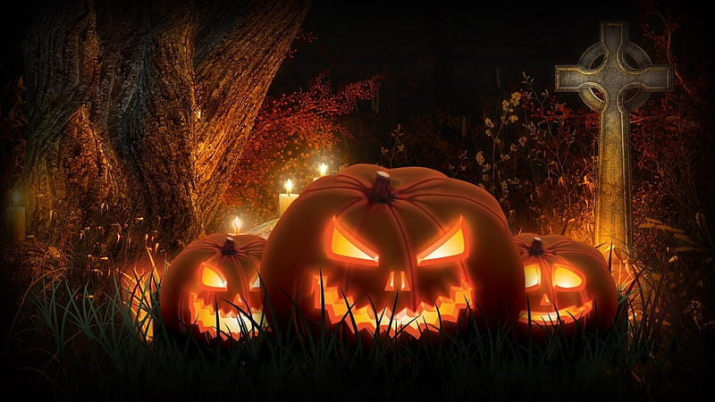 Halloween Faces, cemetery, jack o lantern, artwork, pumpkins, light, HD wallpaper
