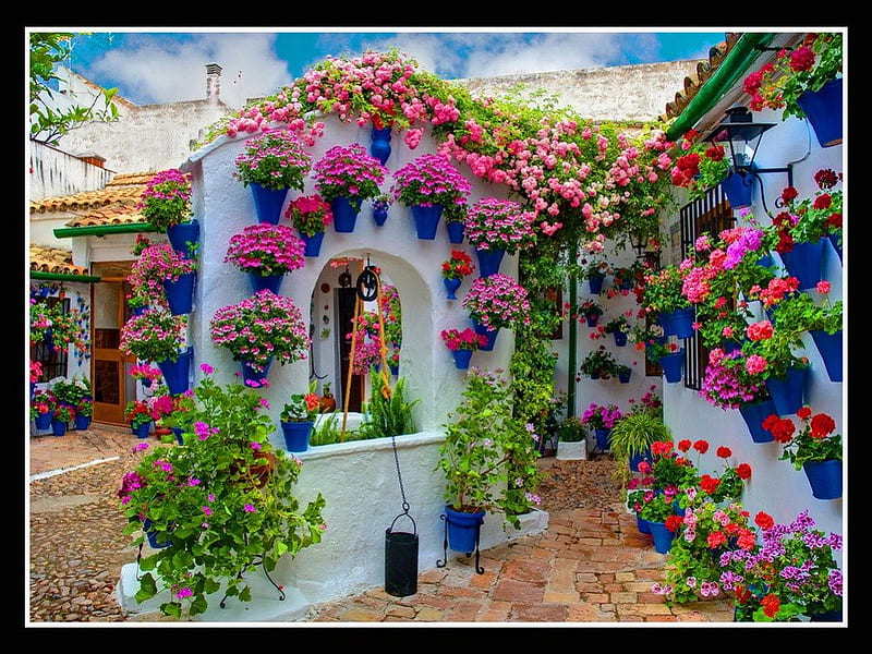 Gardens in pots, pots, home, flowers, colors, hanging, decor, HD wallpaper