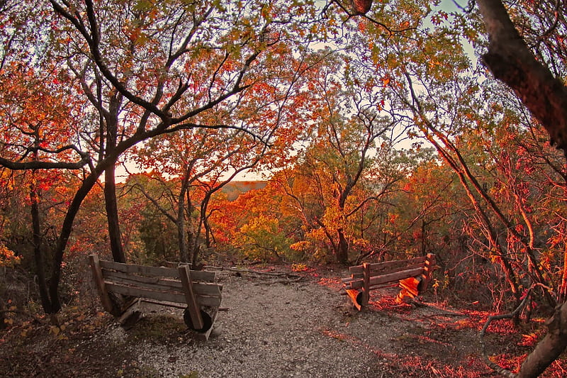Piedmont Ridge Trail in Autumn, Mountains, Autumn, Nature, Trails, HD wallpaper