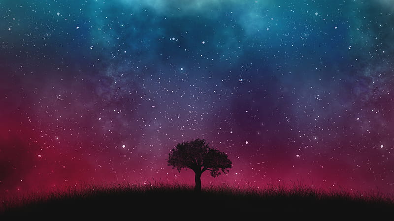 lonely tree, starry sky, night, cosmos, galaxy, Landscape, HD wallpaper