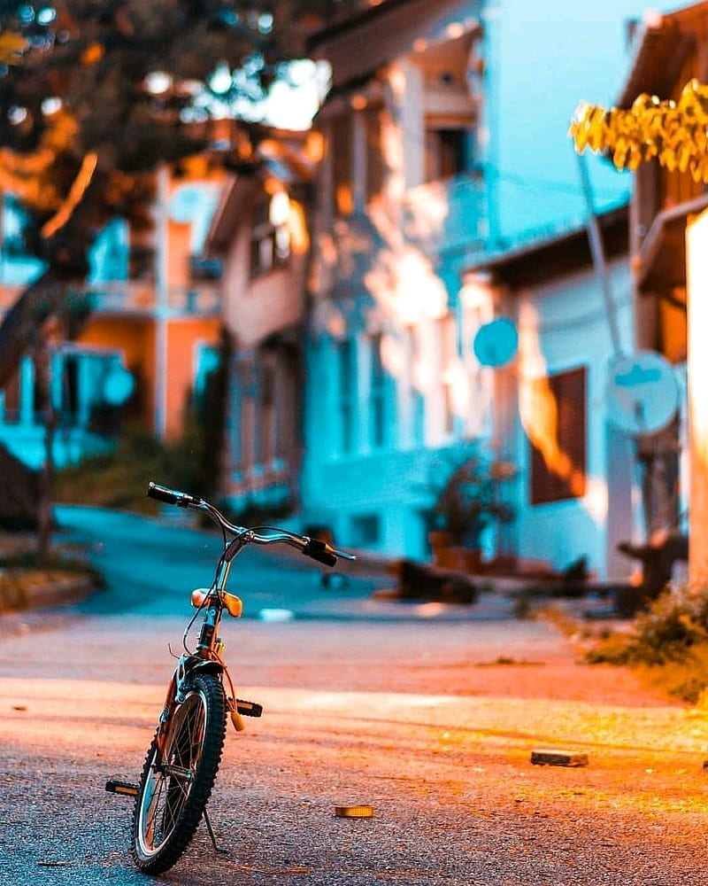 Cycle in night, bike, natural, HD phone wallpaper | Peakpx