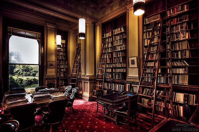 The Reading Room, books, people, entertainment, learn, HD wallpaper